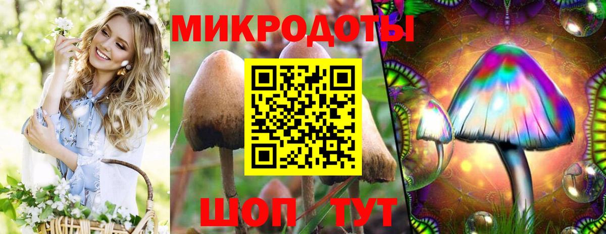 Усть-Илимск  Галлюциногенные грибы Magic Shrooms  Вход с VPN  Галлюциногенные грибы мицелий 